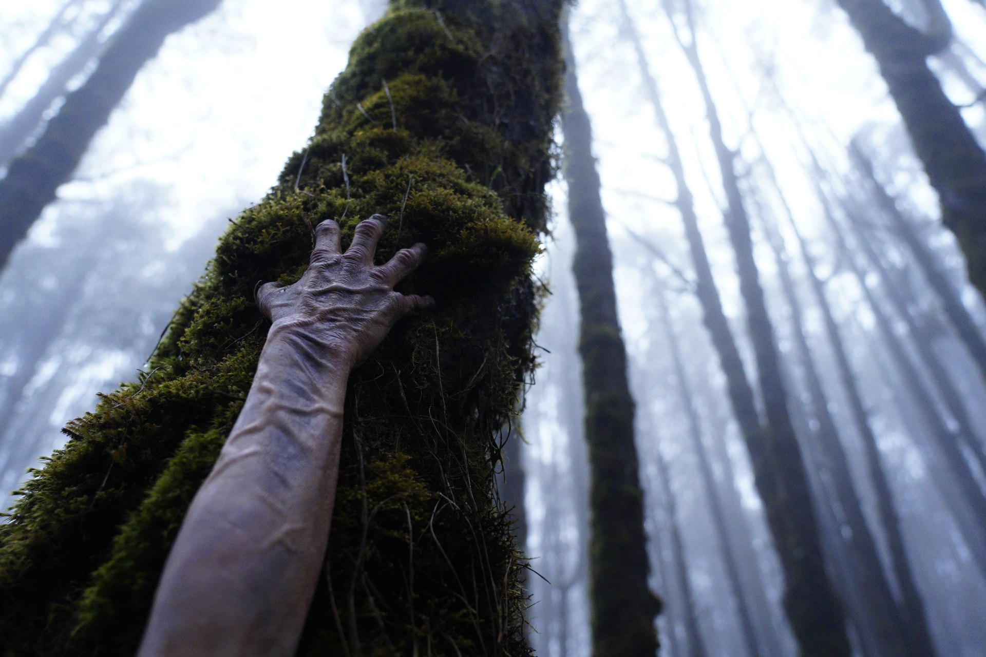 TARUMAMA Trailer: New Colombian Horror Promises Family Struggles Amidst Creepy Chills
