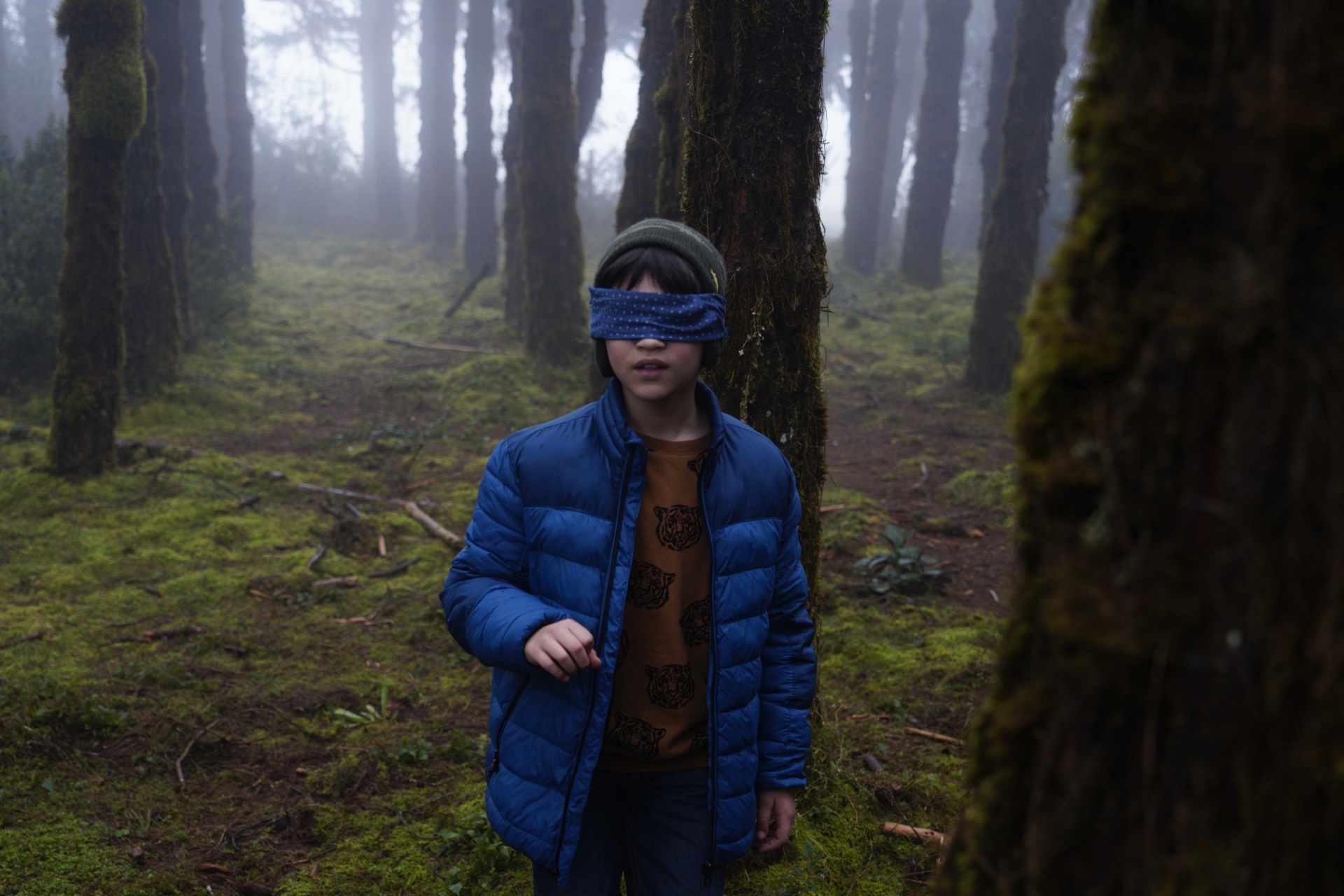 Ventana Sur’s Blood Window Announces 2020 Works in Progress, International Projects 